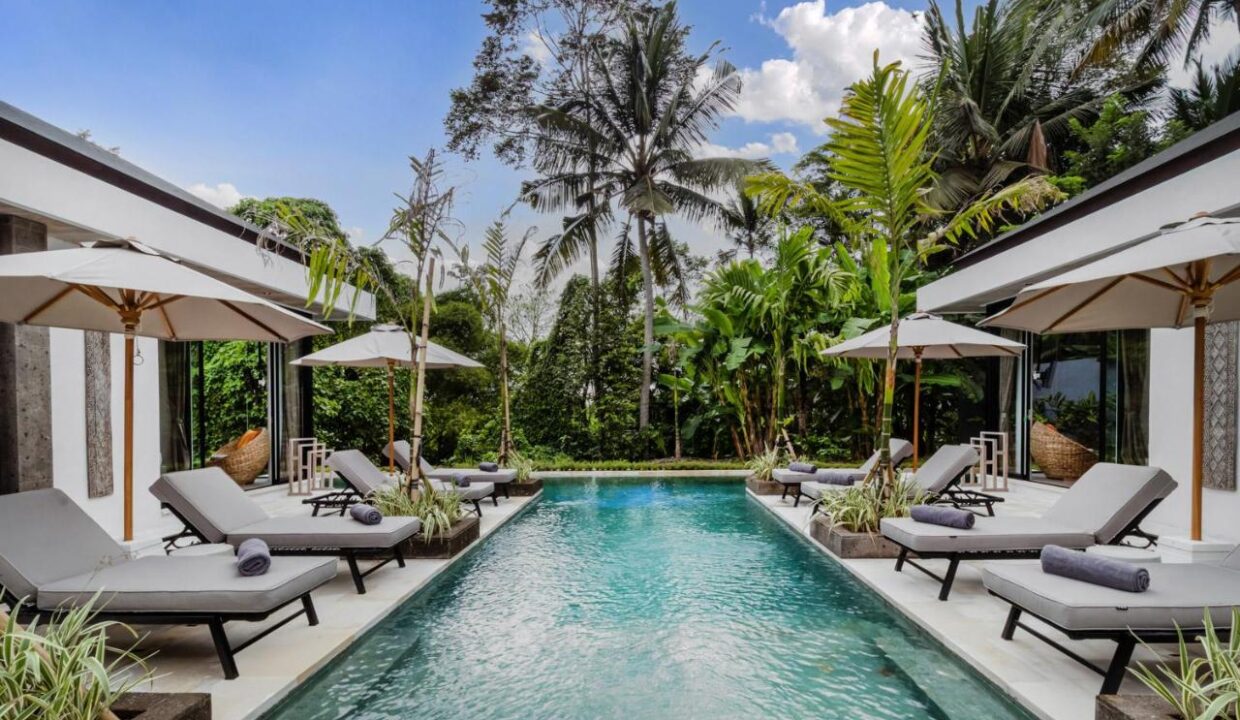 VILLA DREAM MADITATION 441631841