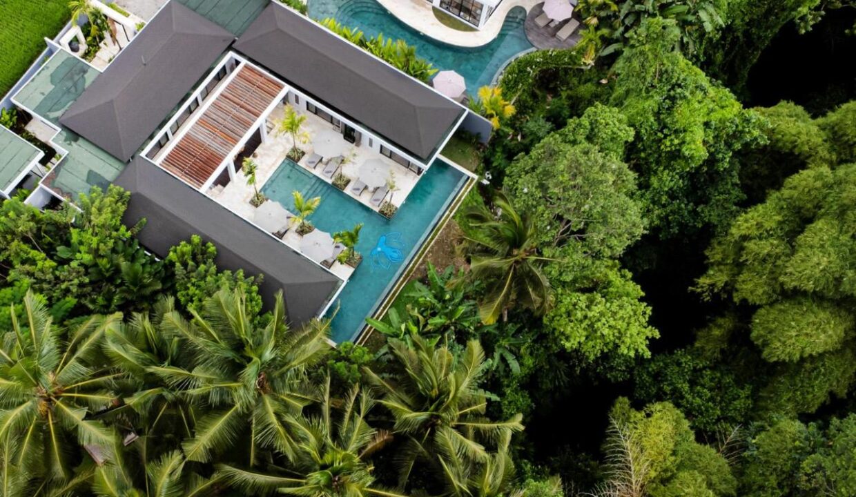 VILLA DREAM MADITATION 441631988