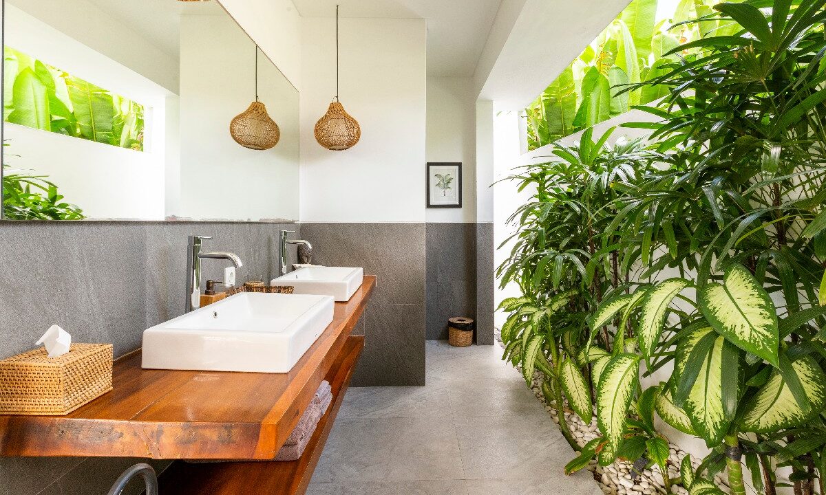 cd2b551d-27f9-4f11-a749-a9e00c9a5be0